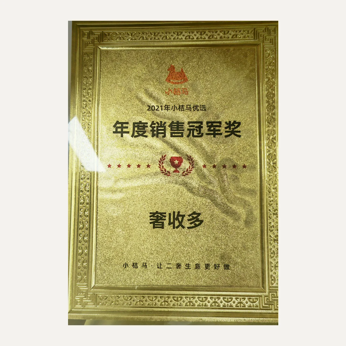 2021 年度销售冠军奖